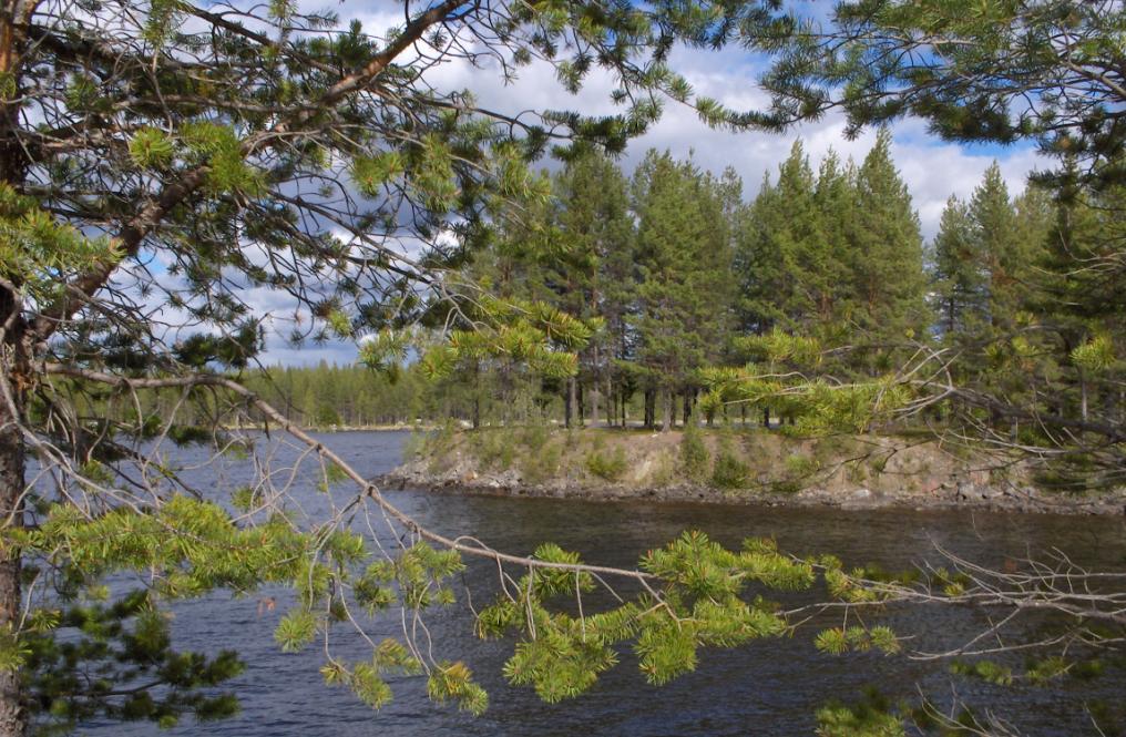 ormsjödammen