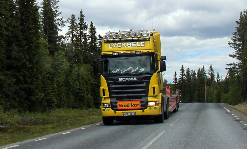 petterjonssonsxye839