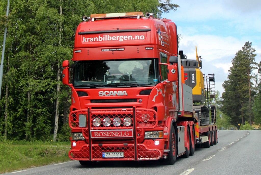 norsk11018rosenelg