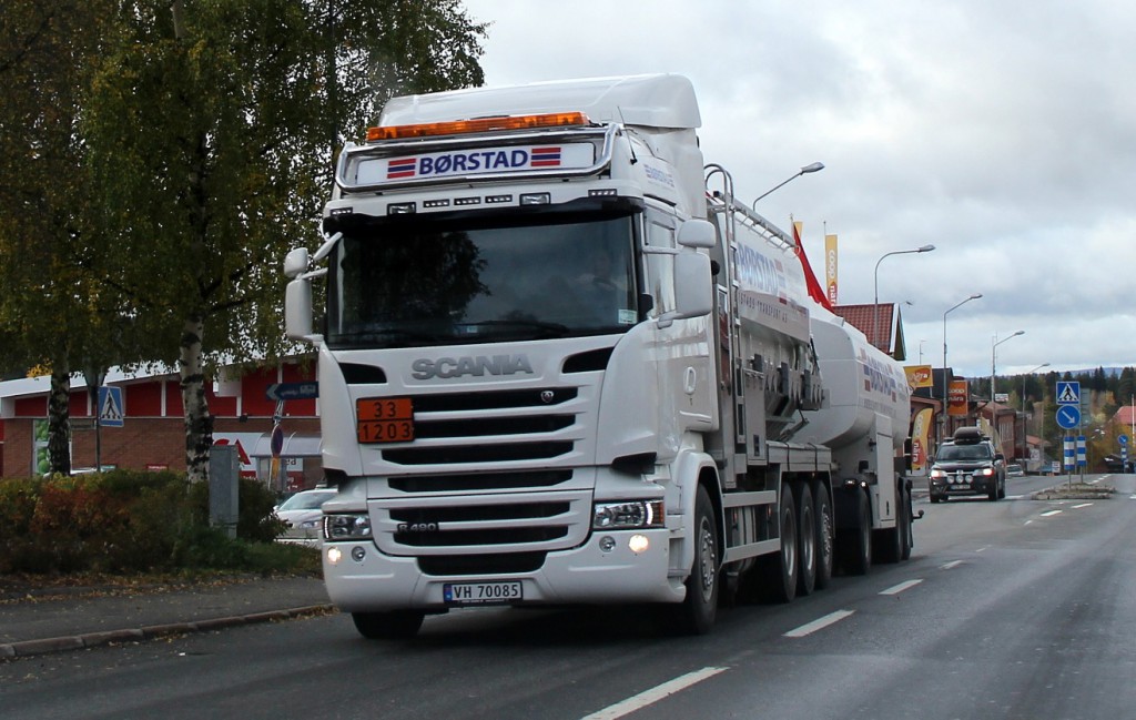 norsk70085borstad