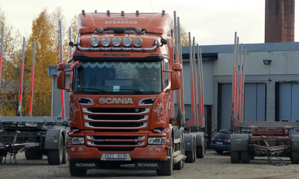 timmergruppenxzt929