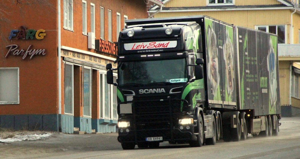 norsk84941leivsandhallgeir