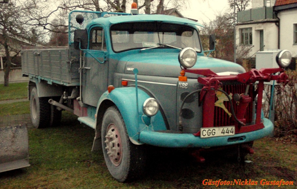 gfngn86h