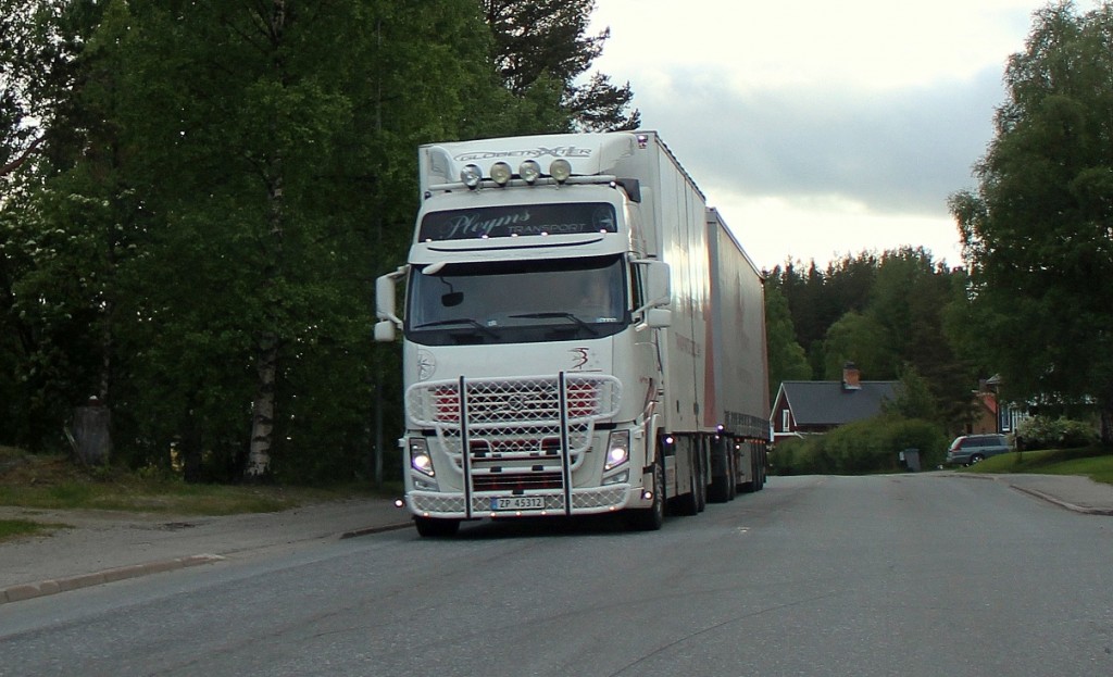 norsk45312pleyms