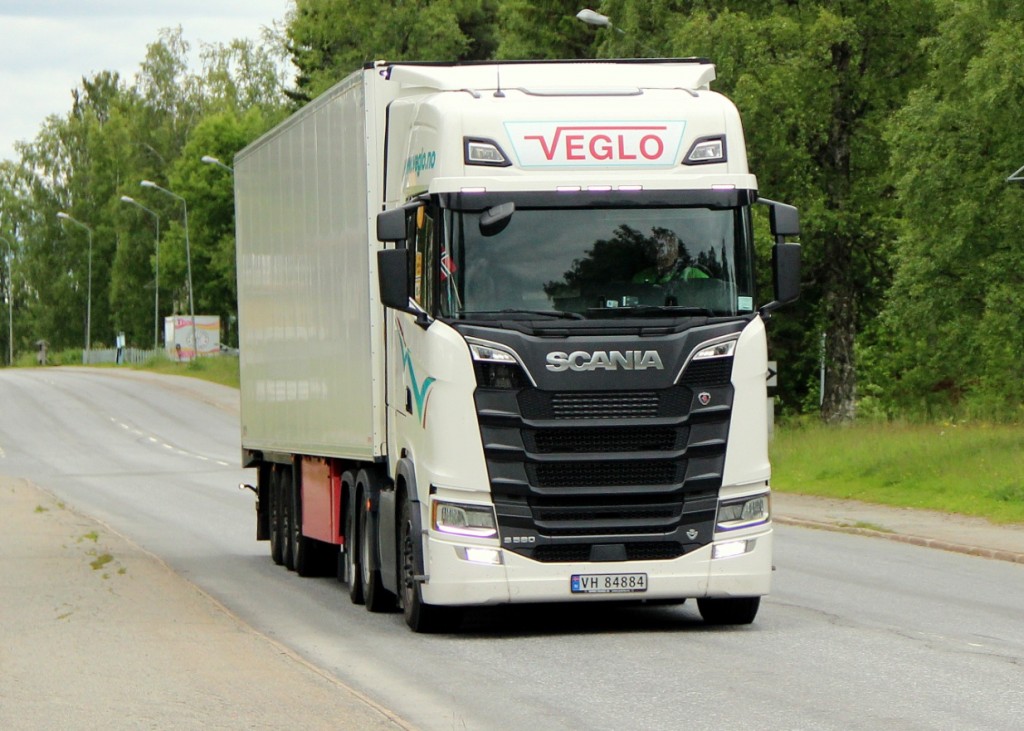 norsk84884veglo