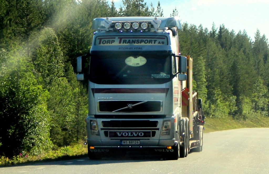 norsk88126torp