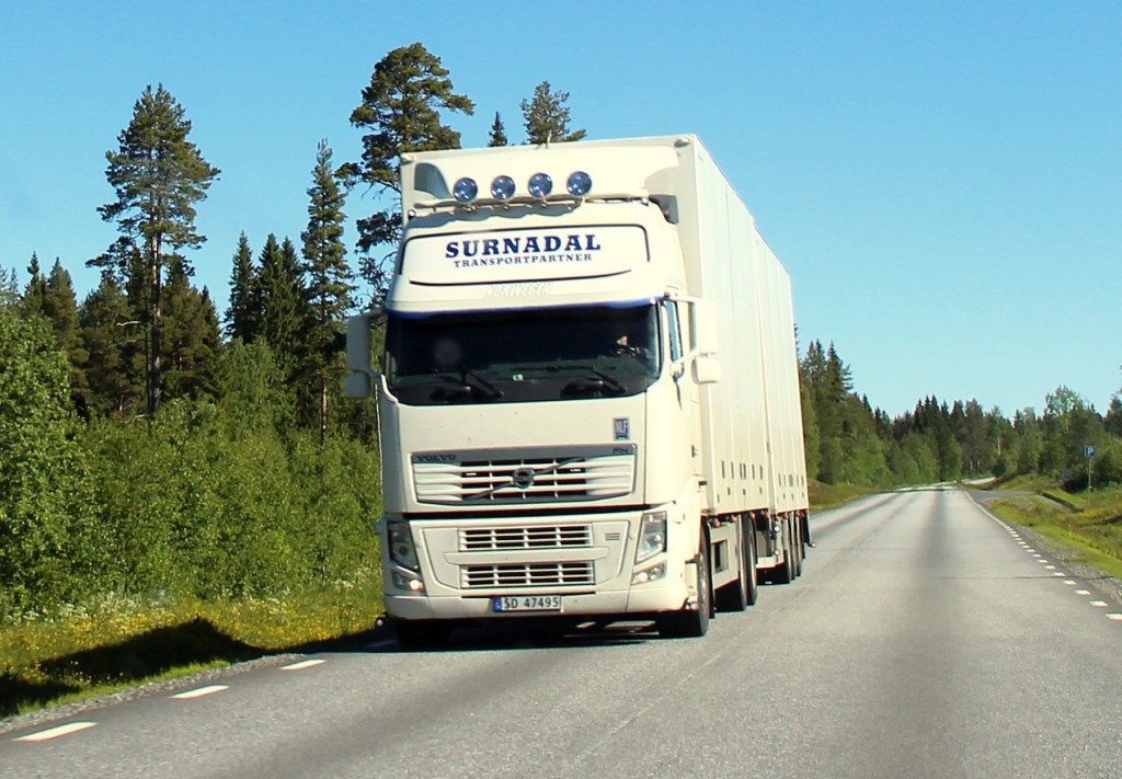 norsk47495surnadal