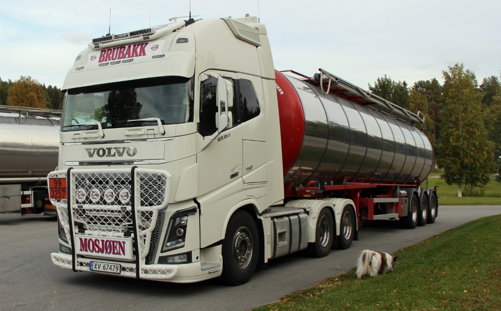 norsk67479brubakk