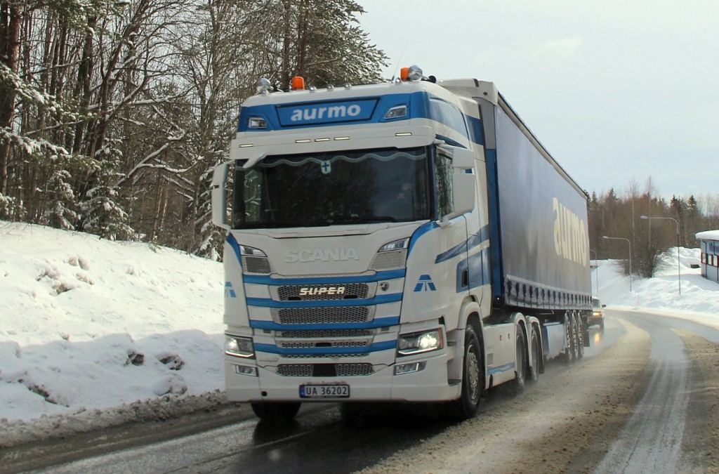 norsk36202aurmo